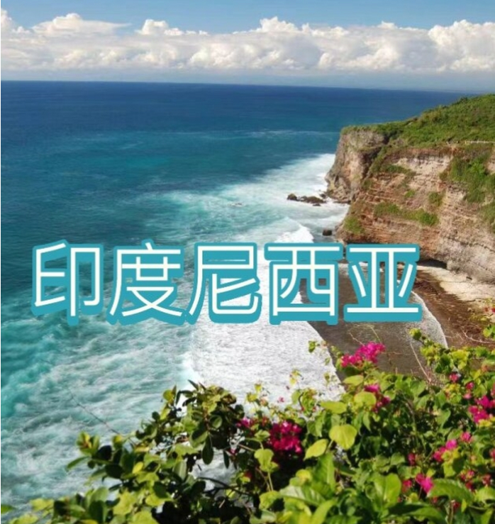 际电商(印尼)产业博览会澳门新葡京2025中国国(图2)