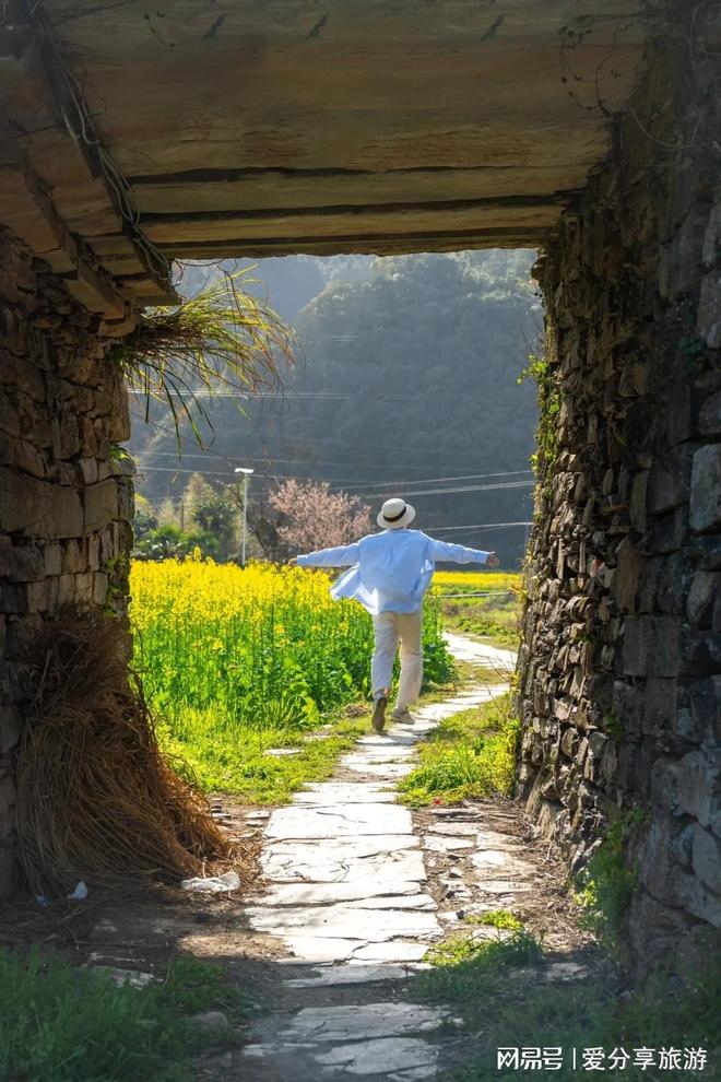 费用高山草甸+星空露营绝配新葡京种草！武功山6日小团(图1)