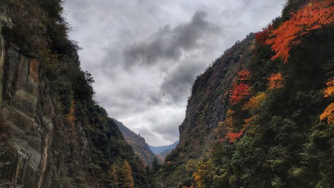 行重庆旅游5日游十大必去景点+行程方案澳门新葡京网页重庆旅游攻略带孩子自由(图11)