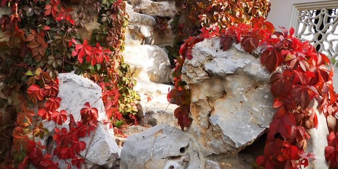 行重庆旅游5日游十大必去景点+行程方案澳门新葡京网页重庆旅游攻略带孩子自由(图10)