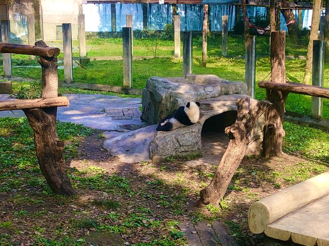 行重庆旅游5日游十大必去景点+行程方案澳门新葡京网页重庆旅游攻略带孩子自由(图9)